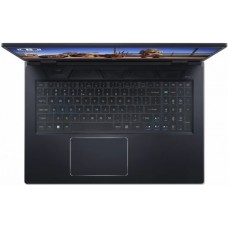 Ноутбук Acer Predator Helios 300 PH317-56-99EE NH.QGFCN.002