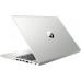 Ноутбук HP ProBook 455 G7 (1F3M8EA)