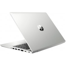 Ноутбук HP ProBook 445 G7 (7RX17AV)