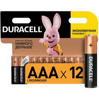 Батарея Duracell Basic LR03-12BL MN2400 AAA