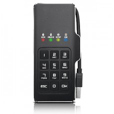 Внешний диск с шифрованием и ПИН-кодом DataLock PRO М2 256 Гб