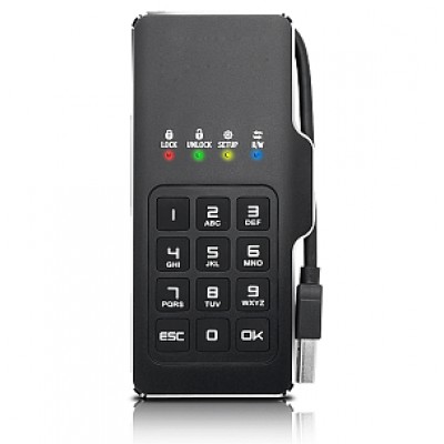 Внешний диск с шифрованием и ПИН-кодом DataLock PRO М2 256 Гб