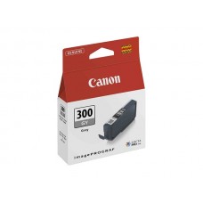 Картридж Canon PFI-300GY (4200C001)