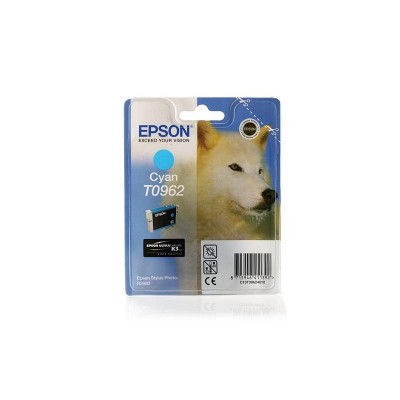 Струйный картридж Epson C13T09624010