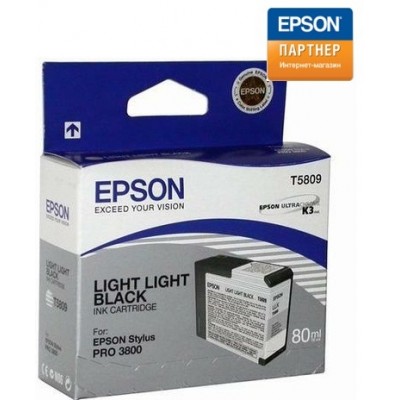 Струйный картридж Epson C13T580900