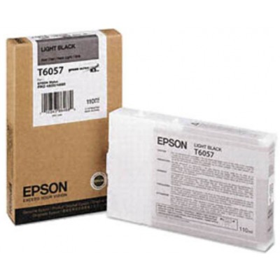 Струйный картридж Epson C13T605700