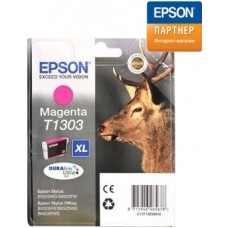 Струйный картридж Epson C13T13034010