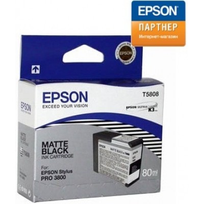 Струйный картридж Epson C13T580800