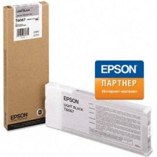 Струйный картридж Epson C13T606700