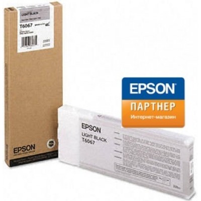 Струйный картридж Epson C13T606700