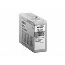 Картридж Epson C13T850900