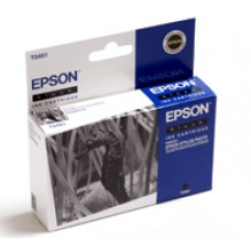 Струйный картридж Epson C13T048140