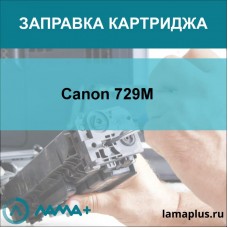 Заправка картриджа Canon 729M