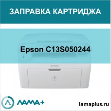 Заправка картриджа Epson C13S050244